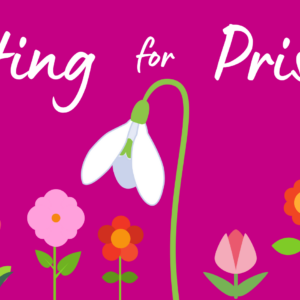 Priscilla Bacon Hospice - Planting for Priscilla