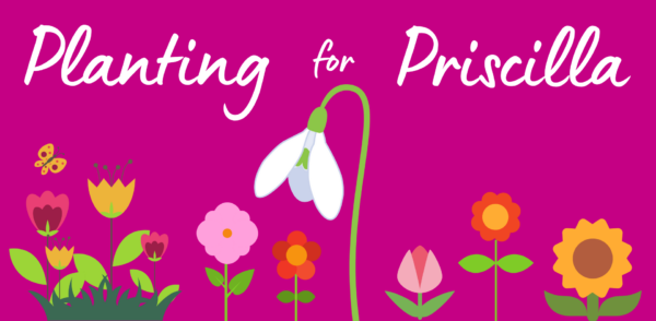 Priscilla Bacon Hospice - Planting for Priscilla