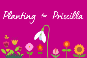 Priscilla Bacon Hospice - Planting for Priscilla