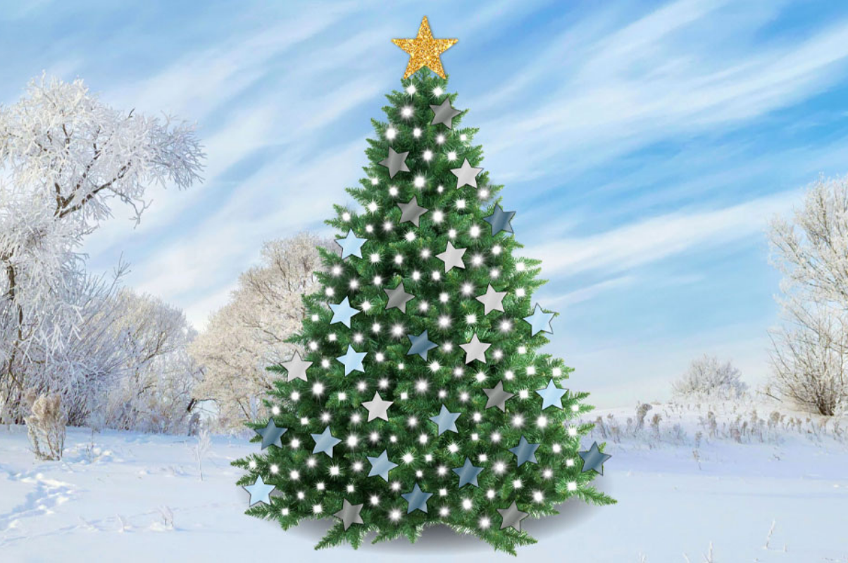 Make a dedication on our Virtual Christmas Tree Priscilla Bacon Hospice