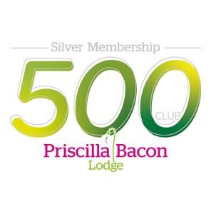 500 club silver logo